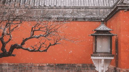 盡享冬令進(jìn)補(bǔ)佳品，怎能少的了佳歌集成灶